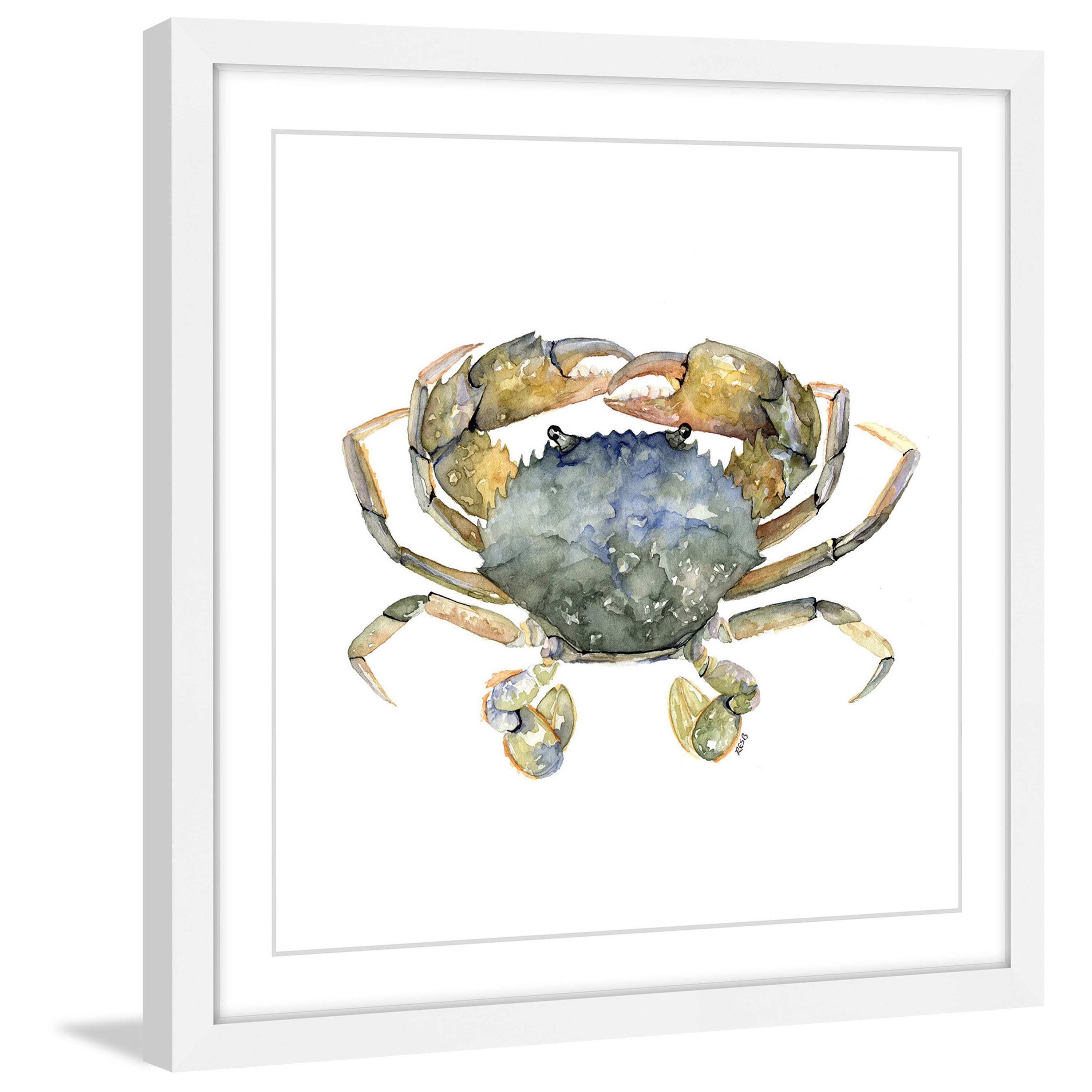 Marmont Hill "Blue Crab" by Rachel Byler Framed Painting Print