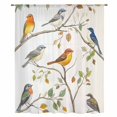 thumbnail image 2 of Watercolor Bird Sheer Curtains 63 Inches Long, Spring Multicolored Leaf Plant Branch Light Filering Curtains, Breathable Simi Curtain Privacy Drapes for Living Room Bedroom Window Treatment, 2 of 9