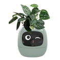 thumbnail image 4 of Feimier Smart Flower pot: The Interactive Gardening Companion for Effortless Plant Care!, 4 of 8