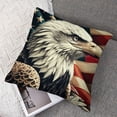 thumbnail image 7 of nygtbtfer  American Bald Eagle Throw Pillow Cover Grunge USA Flag Pillow Case Pillowcase for Bedroom, Living Room, Cushion Sofa Standard Size  White, 7 of 7