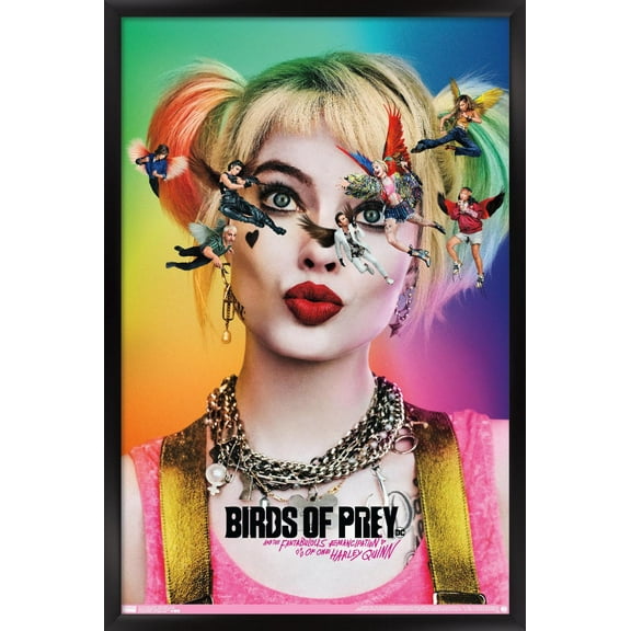 DC Comics Movie - Birds Of Prey - Teaser Wall Poster, 14.725" x 22.375" Framed