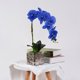 thumbnail image 4 of Yuarrent Orquídea de imitación Flor artificial Decoración de jardín Baño Plástico Maceta Toque Arreglo falso Calcomanía para el hogar Jarrón de Decoración del hogar Azul Yuarrent HA084030-01, 4 of 6