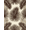 Brown Beige, Pattern 20, variant on ODIKA 8'x10' Washable Area Rug Non-Shedding, Easy Care, Beige Cream Foliage Spread Symmetrical Border Frame Rectangular for King Size Bedroom Under Bed, Master Suite