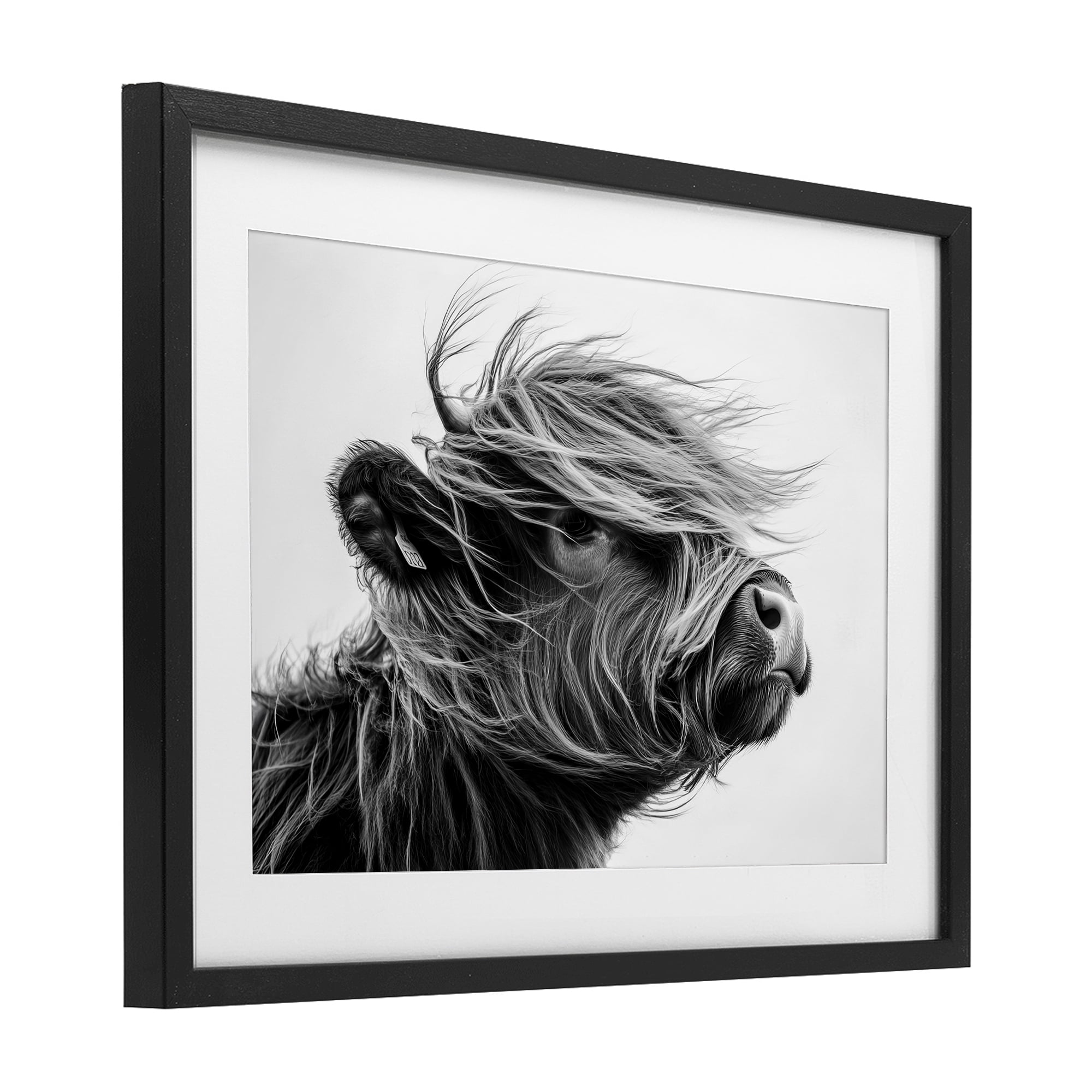 Stupell Industries Handsome Highland Portrait Black Framed Print Under Glass, design by Tina LeCour
