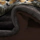 thumbnail image 3 of Cobertor con Borrega Matrimonial MELOCOTTON HOGAR Mod Tigre Extra Suave, 3 of 3