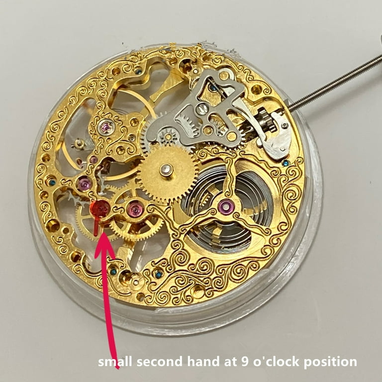6497 skeleton movement 2025