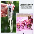 thumbnail image 3 of Growing Kit,Set Soilless 30 10 Covers 1 Dsfen 161pcs Kit Stickers 30 Stickers Qisuo Kit Pl Set Siuke, 3 of 7