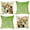 Spring Gnome, variant on Hello Spring Red Poppy Decorative Throw Pillow Covers 18 x 18 Set of 4, Just Bloom Floral Flower Green Porch Patio Outdoor Pillowcase, Gather Butterfly Seasonal Cushion Case Home Decor