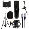 AxcessAbles SF-101KIT Half Dome 32.5Wx13H (422sq inch) Studio Microphone Isolation Shield w/Stand, Condenser Mic. Compatible w/Focusrite, Phantom Powered Audio Interfaces. Recording, Podcast