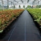 thumbnail image 4 of Bewildely Barrera de malezas transpirable para necesidades de jardinería Edificios de jardín duraderos Gran durabilidad y fácil Type2 NO2, 4 of 6