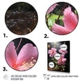 thumbnail image 3 of Designart "Morning Glory Garden Jewel in Pink" Floral Framed Wall Art - Traditional Pink Morning Glory Living Room Framed Canvas Art, 3 of 6