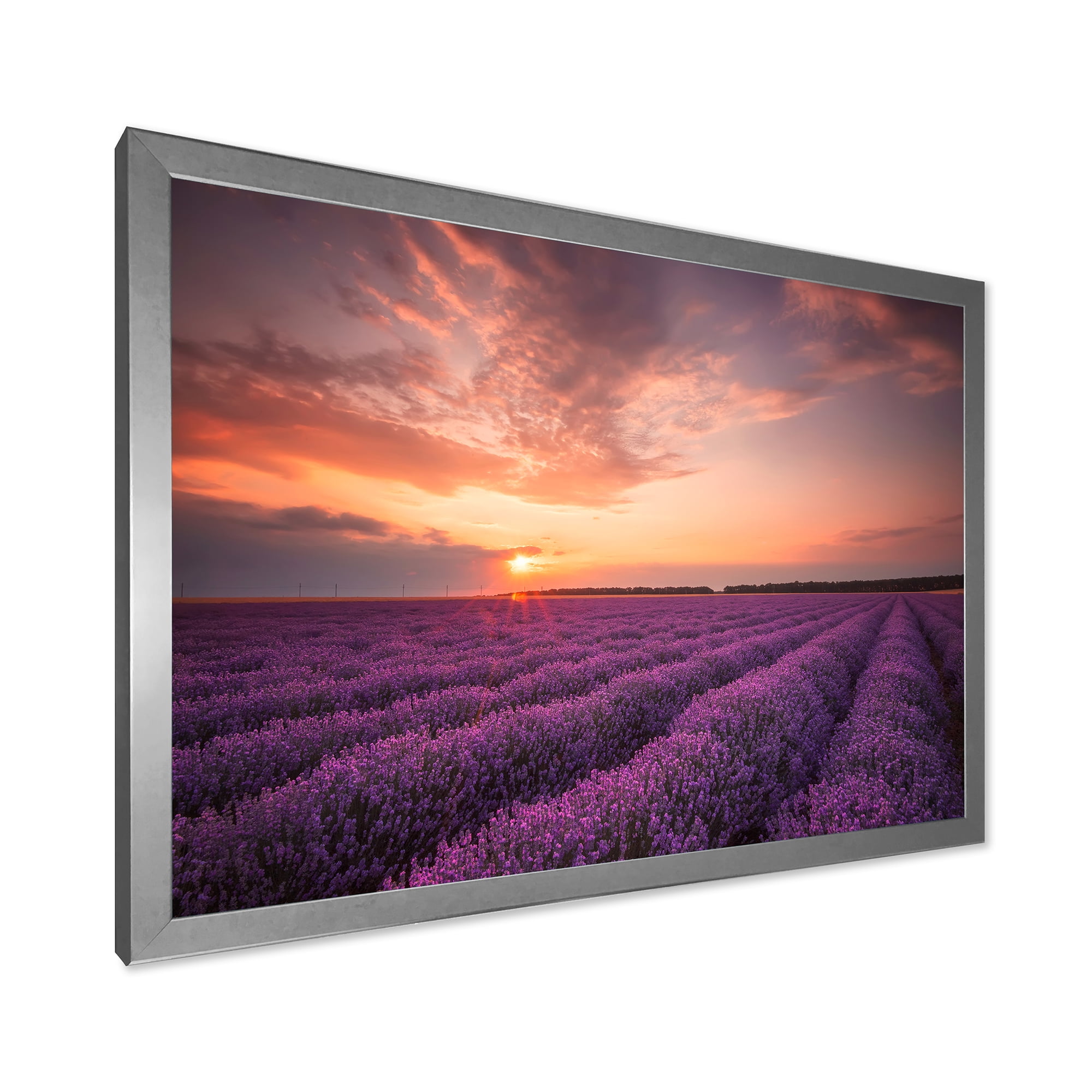 Designart 'Dramatic Clouds and Sunrise Over Lavender Field XII' Farmhouse Framed Art Print