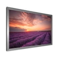 thumbnail image 2 of Designart 'Dramatic Clouds and Sunrise Over Lavender Field XII' Farmhouse Framed Art Print, 2 of 4