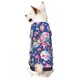 thumbnail image 1 of Fotbe mushroom Skull rainbow color Sudadera con Estampado para Perros Pequeños – Suéter con Capucha para Mascotas, Tela Suave de Forro Polar con Bolsillo-X-Small, 1 of 7