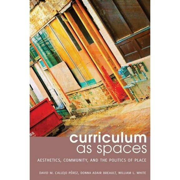 Complicated Conversation Curriculum as Spaces: Aesthetics, Community, and the Politics of Place, Book 45, (Paperback)