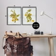 thumbnail image 4 of Stupell Industries Rustic Lemons & Leaves Food & Beverage Painting Black Framed Art Print Wall Art, 16 x 20, Set of 2, 4 of 10
