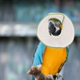 thumbnail image 4 of FESTFENDS Parrot Accessories Bird Collar Green Polar Fleece for Post-surgery Recovery 1Pcs, 4 of 8
