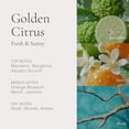 thumbnail image 4 of Perfume CLEAN H2EAU Golden Citrus 50 ml para mujer, 4 of 7