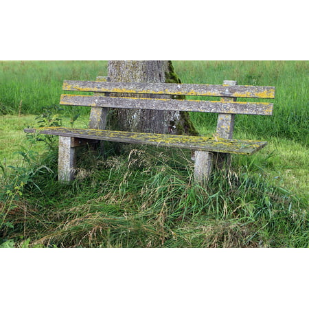 Peel-n-Stick Poster of Bench Click Old Bank Wood Out Nature Poster 24x16 Adhesive Sticker Poster