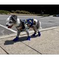 thumbnail image 2 of Dog Bootpaw Protector, Anti-slip Dog Shoes With Reflective Straps(4pcs), 2 of 4