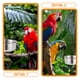 thumbnail image 2 of GOOHOCHY Alimentador de aves de acero inoxidable plato de alimentación de loros taza de alimentación de jaula de pájaros soporte para alimentos loros, 2 of 7
