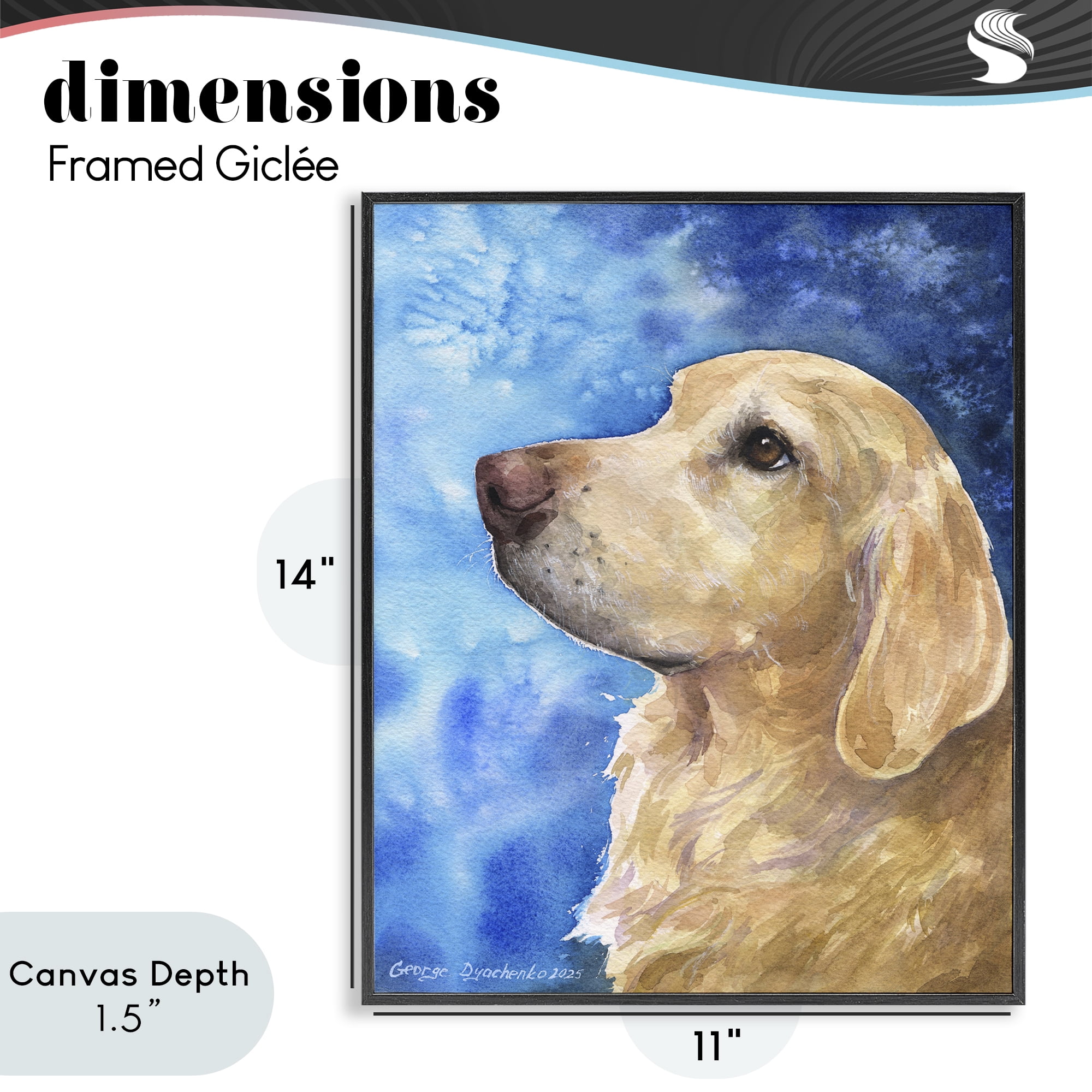 Stupell Industries Golden Retriever Portrait on Azure Black Framed Giclee Art, design by George Dyachenko