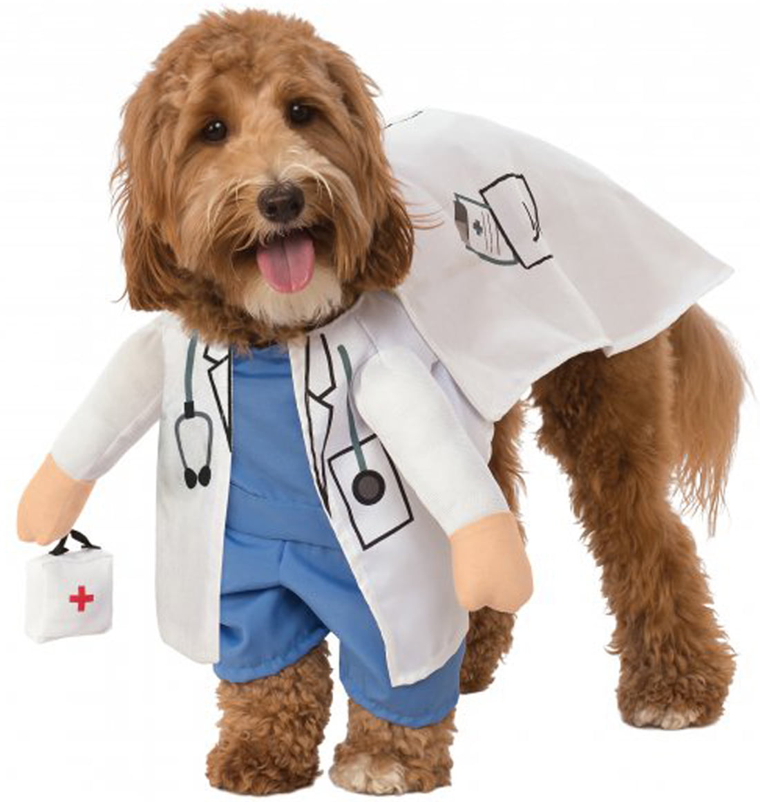 pet dog doctor near me