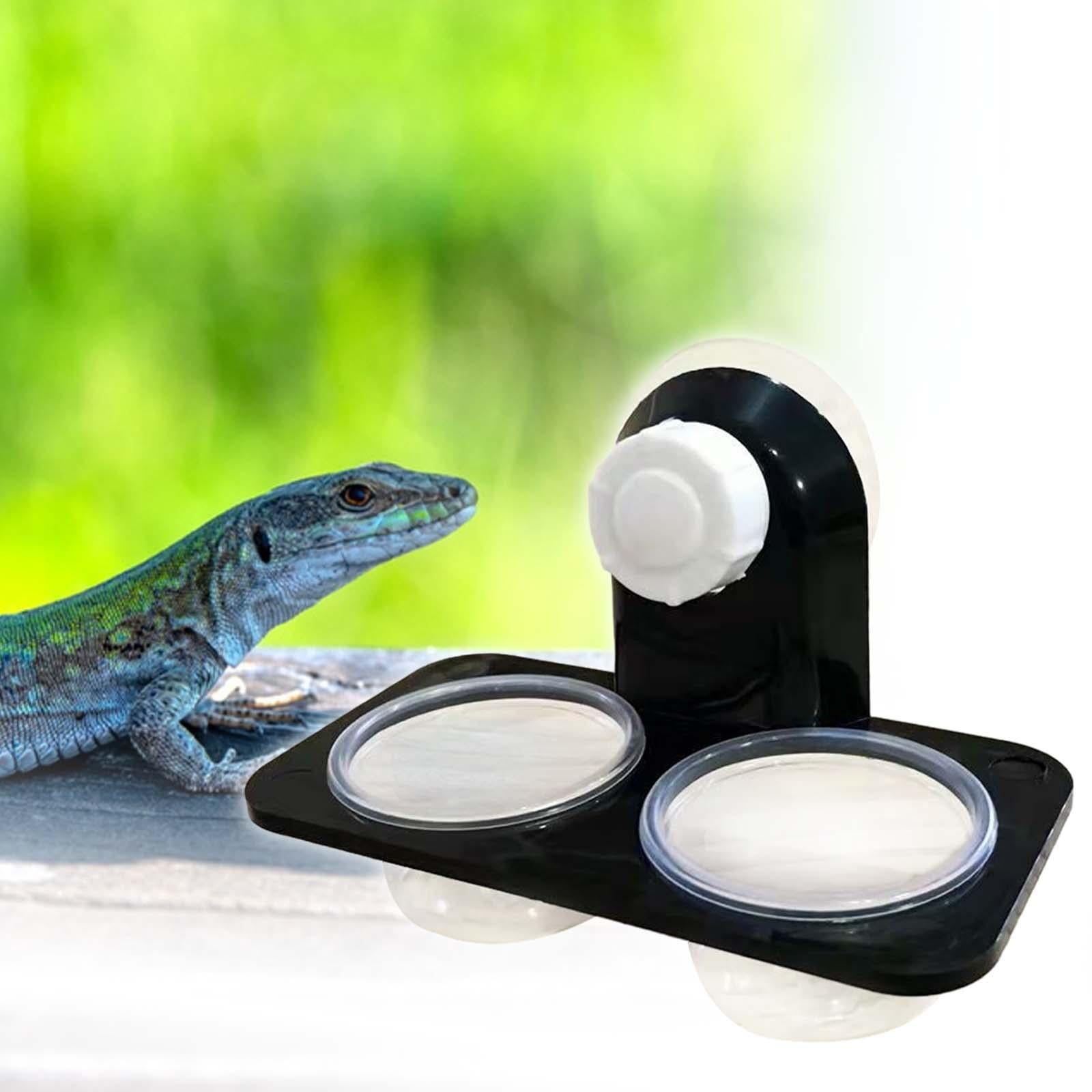 TOOYFUL Reptile Feeder Suction Cup Feeding Dish Bowl Gecko Feeding Bowl Reptile Water and Food Bowl for Reptile Keeper Tortoise Double