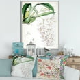 thumbnail image 2 of Designart 'Ancient White Orchid II' Traditional Framed Canvas Wall Art Print, 2 of 5