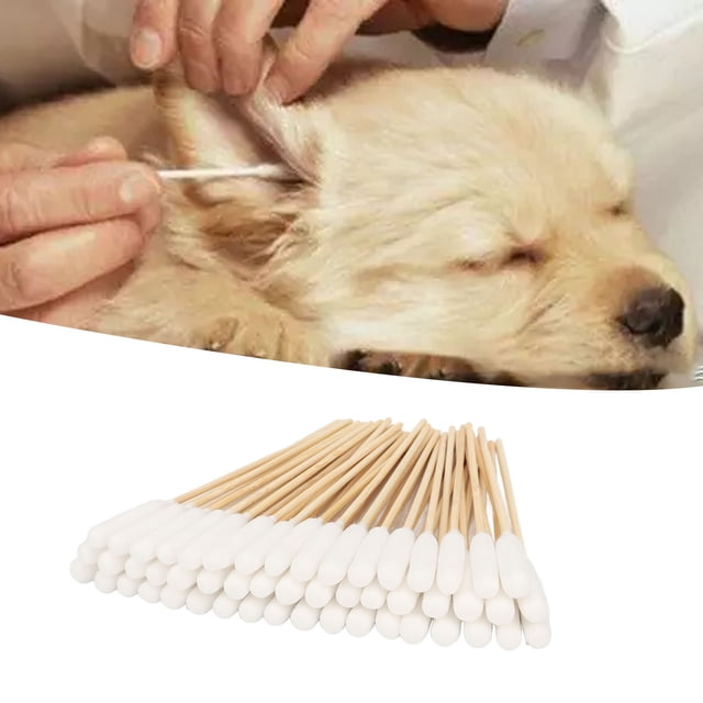 HISOPOS DE ALGODÓN DE MASCASTAS, Limpieza de Capullos de Algodón para Perros para Gatos para el Hogar
