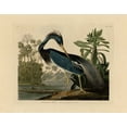 thumbnail image 2 of Audubon, John James 24x20 Black Ornate Wood Framed with Double Matting Museum Art Print Titled - Louisiana Heron, 2 of 4