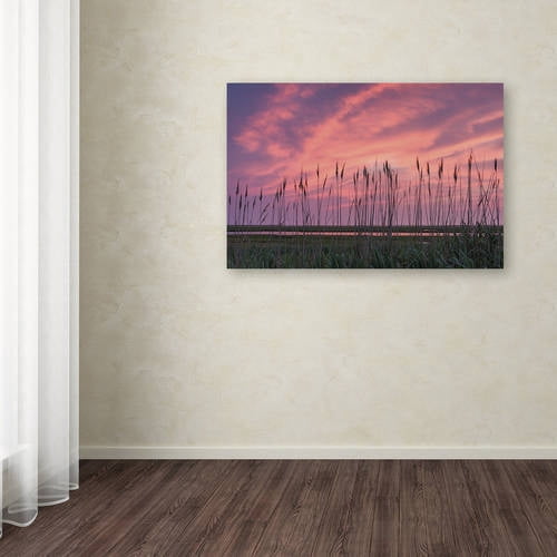 Trademark Fine Art "Marsh Reeds" Canvas Art by Michael Blanchette Photography