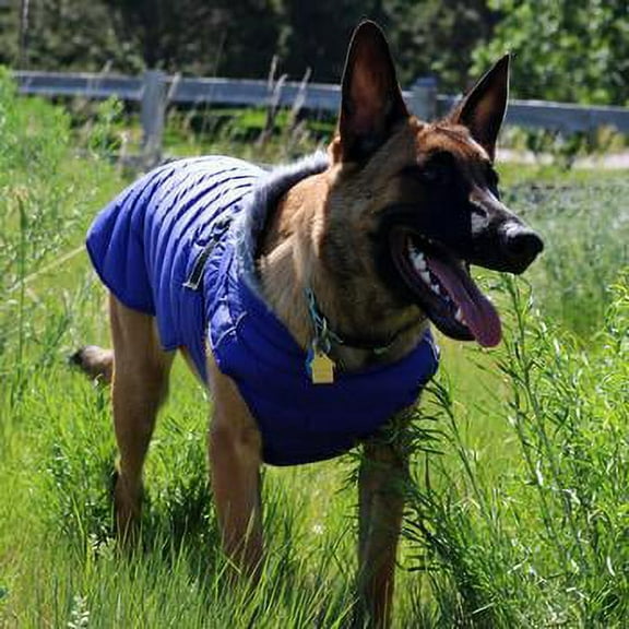 Alpine Extreme Weather Puffer Dog Coat by Doggie Design - Blue - Large