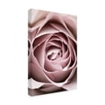 thumbnail image 4 of Trademark Fine Art Pictufy Studio Pink Rose No 04 Canvas Wall Art, 4 of 4
