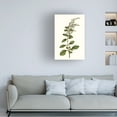 thumbnail image 3 of Curtis 'Soft Blue Botanicals I' Canvas Art, 3 of 4