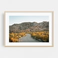 thumbnail image 2 of Dusty Road, Joshua Tree 02 - California Photography Unframed Wall Art Print 24 x 36 inches, 2 of 7