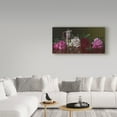 thumbnail image 3 of Trademark Fine Art 'Peonies And Tea' Canvas Art by Christopher Pierce, 3 of 3