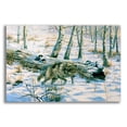 thumbnail image 1 of Epic Art 'Snow Wolf' by Bill Makinson, Acrylic Glass Wall Art, 24"x16", 1 of 8