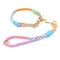 thumbnail image 4 of Close range short leash dog chain explosion-proof charging pet leash collar medium large fierce dog, 4 of 6