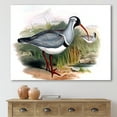 thumbnail image 2 of Designart ' Vintage Countryside Birds In Wild ' Farmhouse Canvas Wall Art Print, 2 of 4