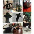 thumbnail image 4 of Necvior Cat Wing Costume Cat Clothes For Kitten Cat Wing Cat Clothes Cat Collar Costume, 4 of 18