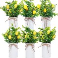 thumbnail image 2 of Ounissouiy Atmósfera refrescante de plástico, 2 uds., con centros de de limón artificiales, fácil de limpiar, amplia aplicación Decoración manzanas pequeñas, 2 of 6