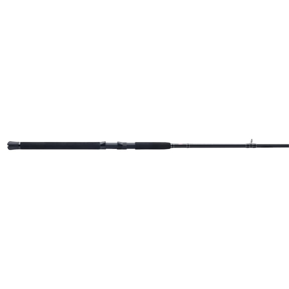 PENN Squadron IV Boat Surf Fishing Rod, 10' Medium