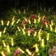 thumbnail image 1 of CaiYueKe Solar Powered Reed Garden Light Outdoor Decorative Stake Waterproof Warm White LED Pathway Patio Lawn Yard Lighting Dusk To Dawn Landscape Lighting For Home Deco, 1 of 7