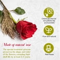 thumbnail image 4 of Caja con forma de corazón Preserved Roses Forever Flowers, 16 unidades, 4 of 7