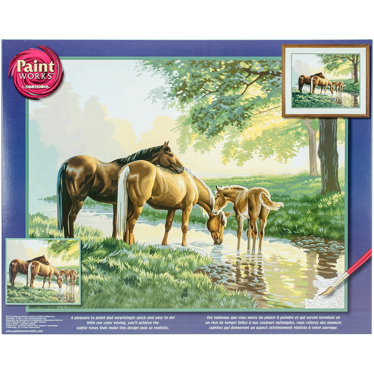 Rasugarlary Paint by Numbers for Adults Beginner, DIY Horse Paint by  Numbers Kits on Canvas, Oil Painting Paintworks Acrylic Painting by Numbers  Kits