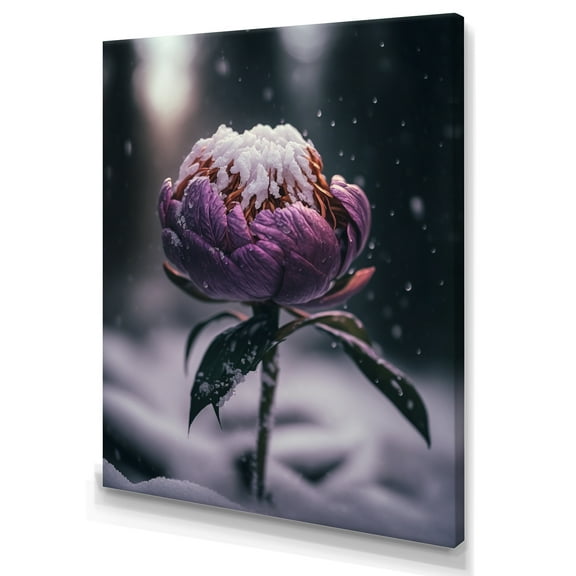Designart A Blooming Puple Peony Flower In Winter I Canvas Wall Art