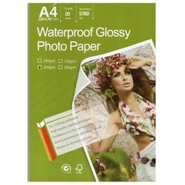 ALPS Photo Color Paper A4 3パック＋1 ALPS Photo Color Paper A4 3パック＋1 250GSM-A4-210X297mm-8