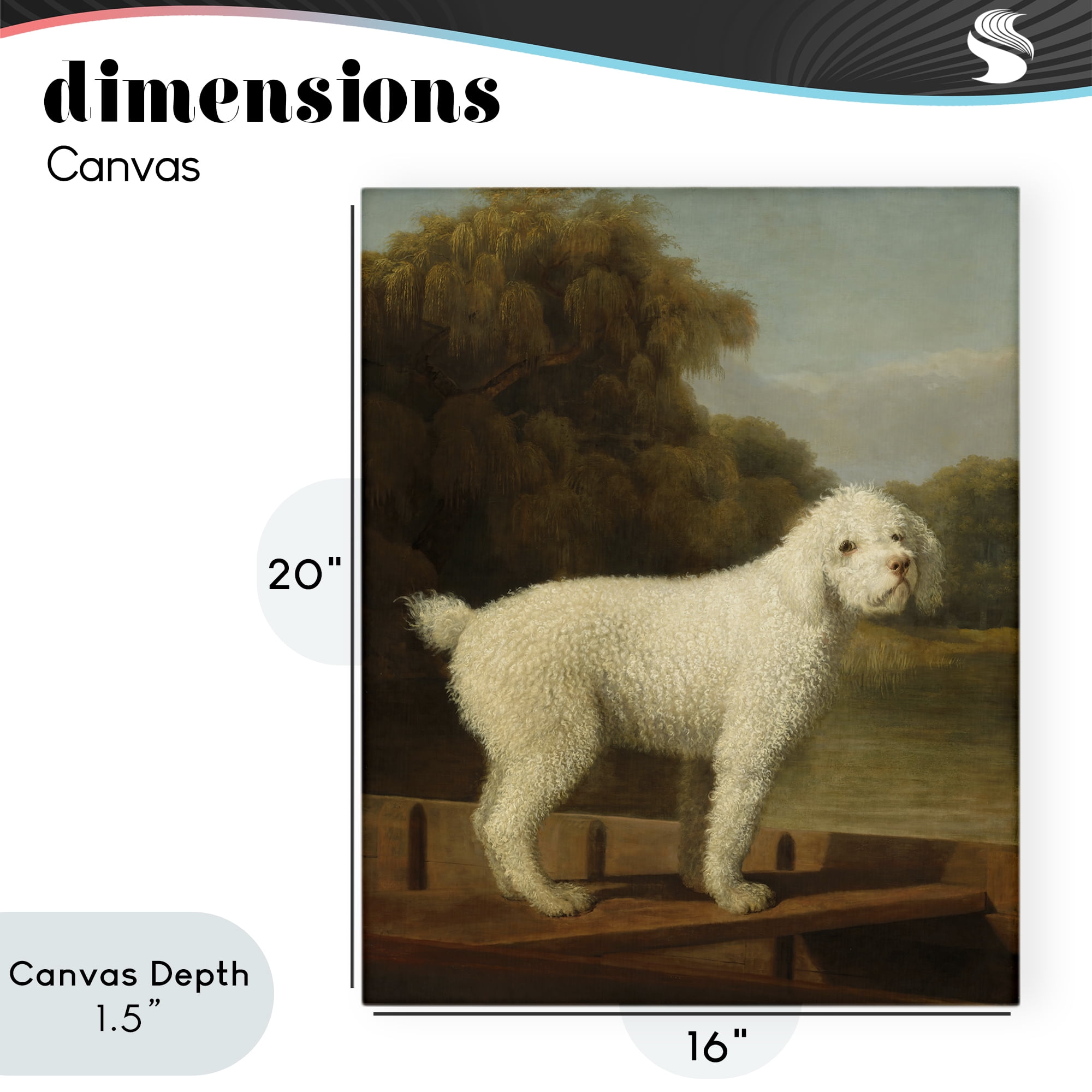 Stupell Industries White Poodle in a Punt Canvas Wall Art, design by Tina LeCour