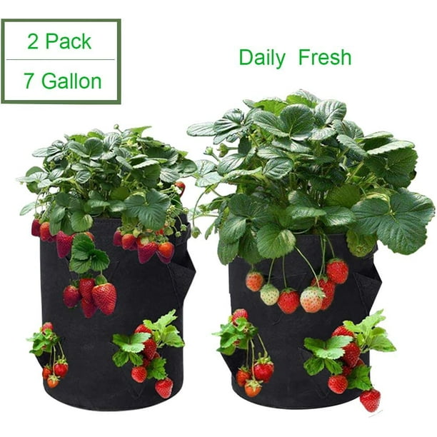 Strawberry Grow Bag,Strawberry Plant Grow Bags,Strawberries Planter Pot